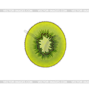 Fruit kiwi, - vector clipart