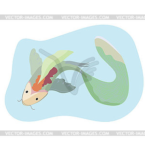 Chinese japanese koi fish red carp water animal - vector clipart