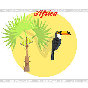 Toucan and palm tree in background of circl - vector clip art