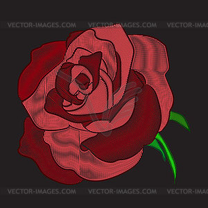 Embroidery red rose. Stock line illus - royalty-free vector image