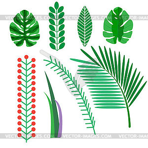 Set of summer plant decoration. Green palm tree, - vector clip art