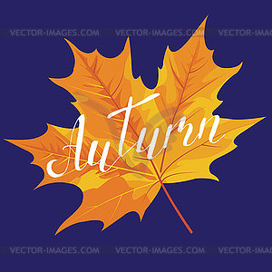 Autumn, hand lettering, quotes.Modern motivation - vector image