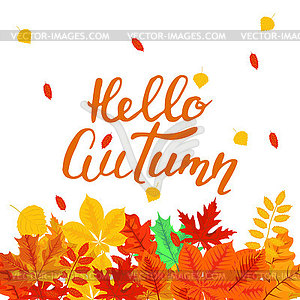 Баннер с цветными осенними листьями для ярких, - иллюстрация в векторе