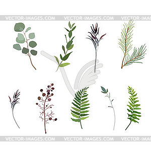 Designer elements set collection of green forest - vector clipart