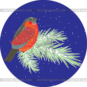 Composition with bullfinch bird on conifer branches - vector image