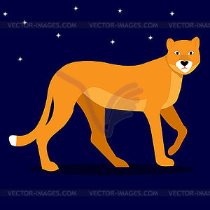 Beauty wild cat, companion of king of beasts lion - vector image