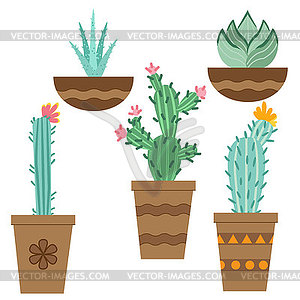 Cactus flower in pots for flowers and plants. Brigh - vector image