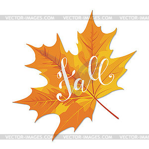 Fall hand lettering phrase on orange autumn maple - vector clipart