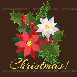Christmas arrangement, poinsettia, fir branches, - vector clip art