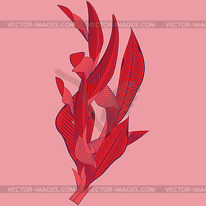 Pattern of spectacular exotic leaves. Tropical - vector image