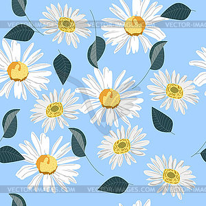 Seamless pattern of field daisies, delicate - vector image