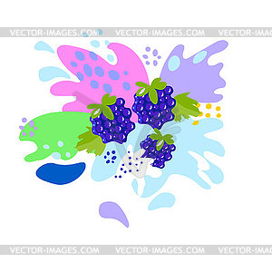 Splash and fall, liquid movement, BlackBerry berry - vector clipart