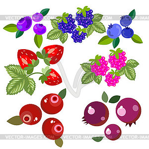 Set of forest and garden berries. Bright, - vector clip art