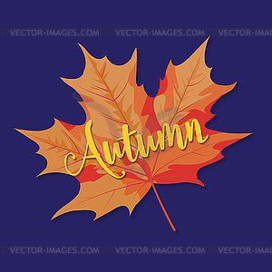 Этикетка продажи красивой осенней листвы, баннер te - векторное изображение