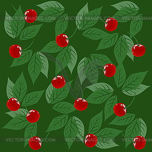 Cherry branch with leaves and ripe bright berries, - vector clipart