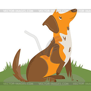 Милая дружелюбная собака на прогулке в поле, - векторная иллюстрация