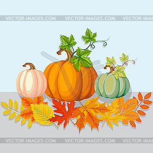 Autumn bright pumpkins, large and small, with - vector clipart