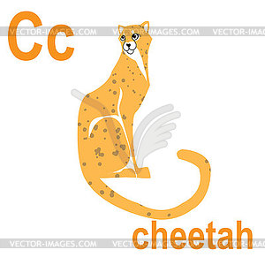 Cheetah is predatory cat, ABC banner. Postcards - vector clip art