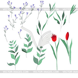 Set of luxury green leaves and flowers elements in - vector image