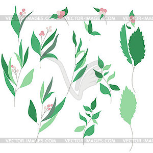 Set of luxury green leaves and flowers elements in - vector clip art