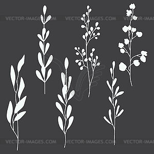 Set of plant and leaf silhouettes, on dar - vector image