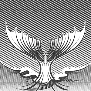 Engraving of fish tail - vector clip art