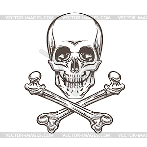 Череп и кости - изображение в векторном виде