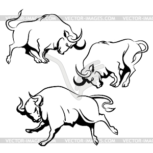 Fighting Bull Set - vector clip art
