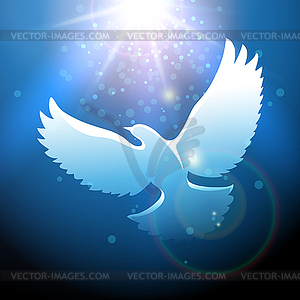 Flying Dove - vector image