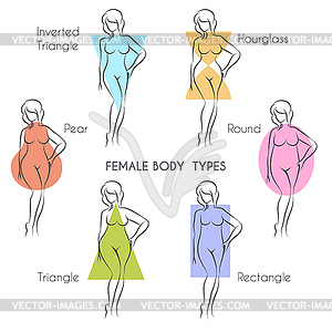 Female Body Types - color vector clipart