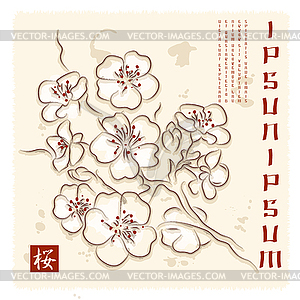 Japan Cherry Blossom - vector clipart