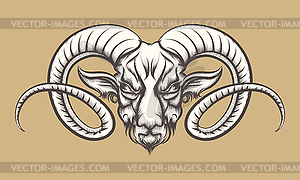 Head of Ram - vector clip art