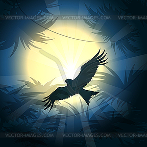 Nighthawk over Rain Forest - vector image