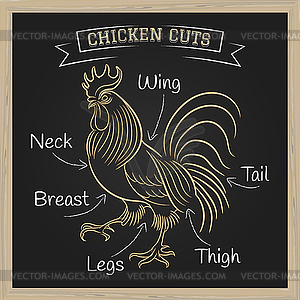 Chicken Cuts - vector clipart / vector image