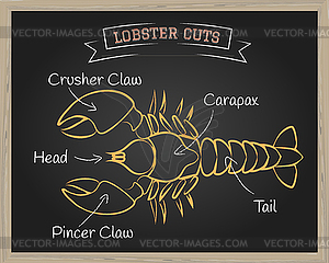 Lobster Cuts - vector image