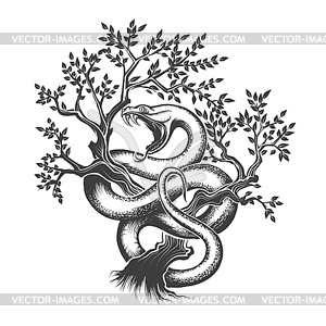 Snake On Tree - vector clipart