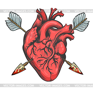 Сердце, пронзенное двумя стрелами - клипарт в векторном формате