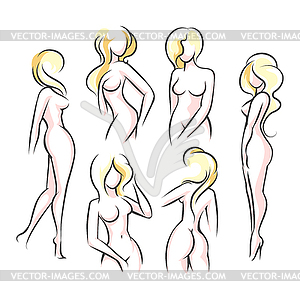 female torso clipart