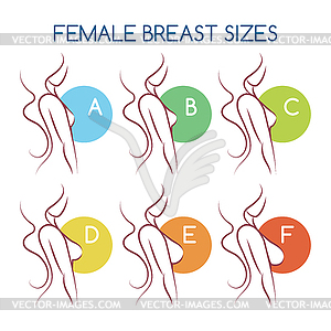 Set of silhouettes icons of various female breast - vector clip art