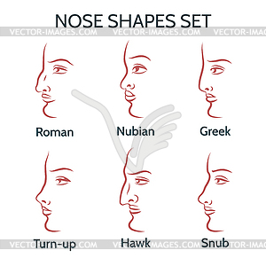 Contour Nose Shapes Set - vector image