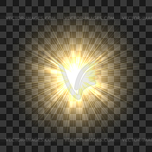 Realistic Sun Rays Glow. Abstract Sunshine Light - vector image