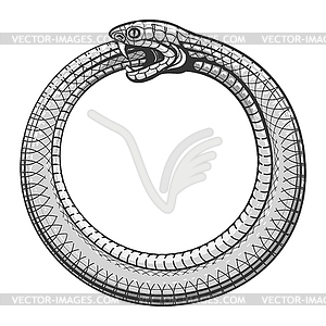 Ouroboros Snake Tattoo - royalty-free vector clipart