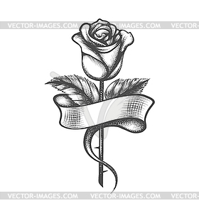 Rose Flower with Blank Ribbon Tattoo - vector clipart