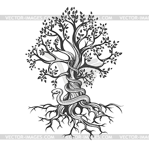 Что означает татуировка дерево?