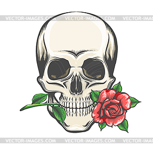 Skull with Rose in Teeth Tattoo - vector clip art