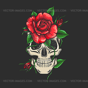 Human Skull and Roses Flowers on Black - vector image