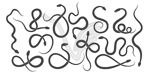 Snake Silhouette Set - vector clipart