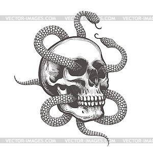 Human Skull with Two Snakes Monochrome Tattoo - vector image