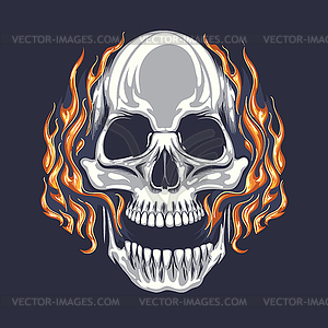 Skull in Flames Colored - vector image