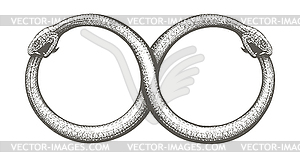 Two Ouroboros Snakes Intertwined in Horizontal - vector image